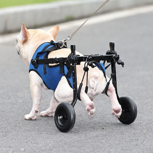 Verstellbarer Rollstuhl für Behinderte Hunde