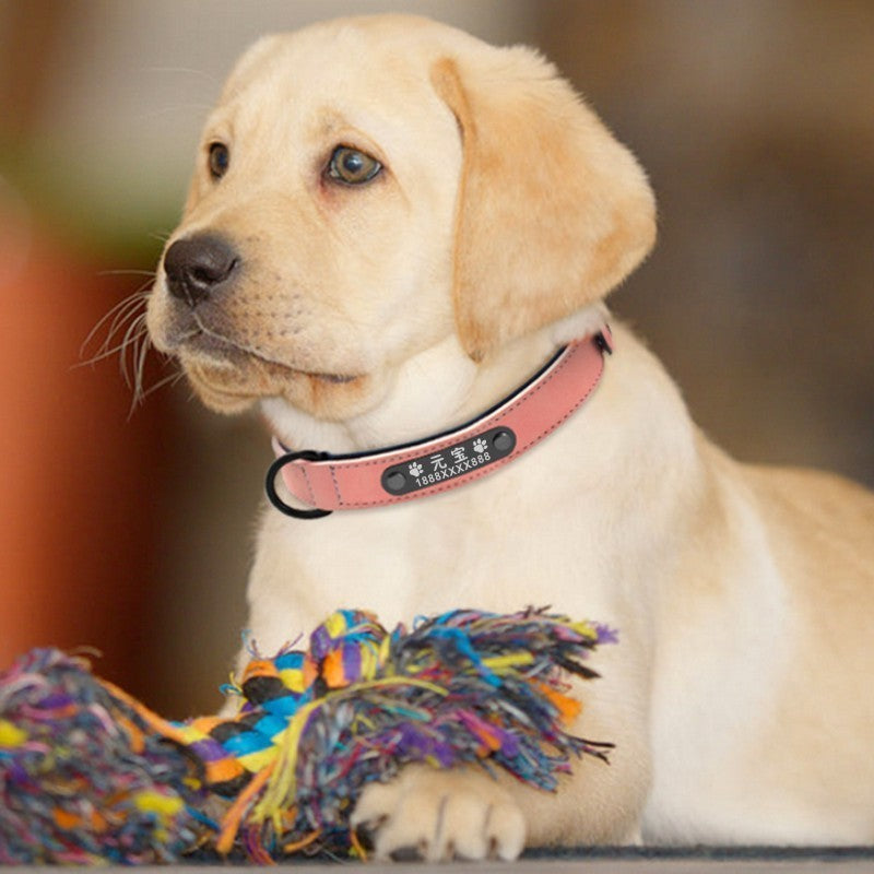 Gravierte Hundehalsband mit oder ohne Leine aus echten Leder - Koosh Style 